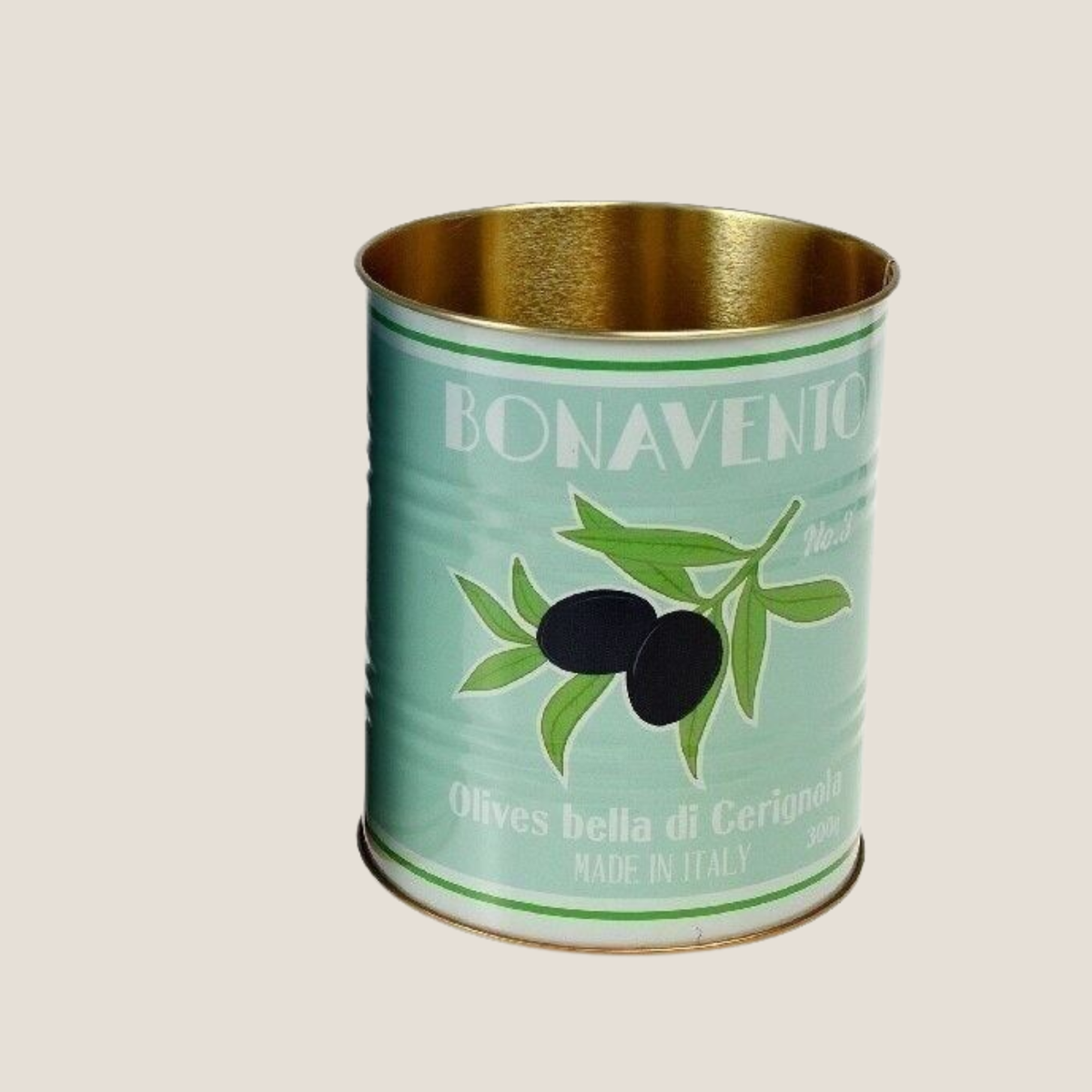 Bonavento Tin Medium - Sage