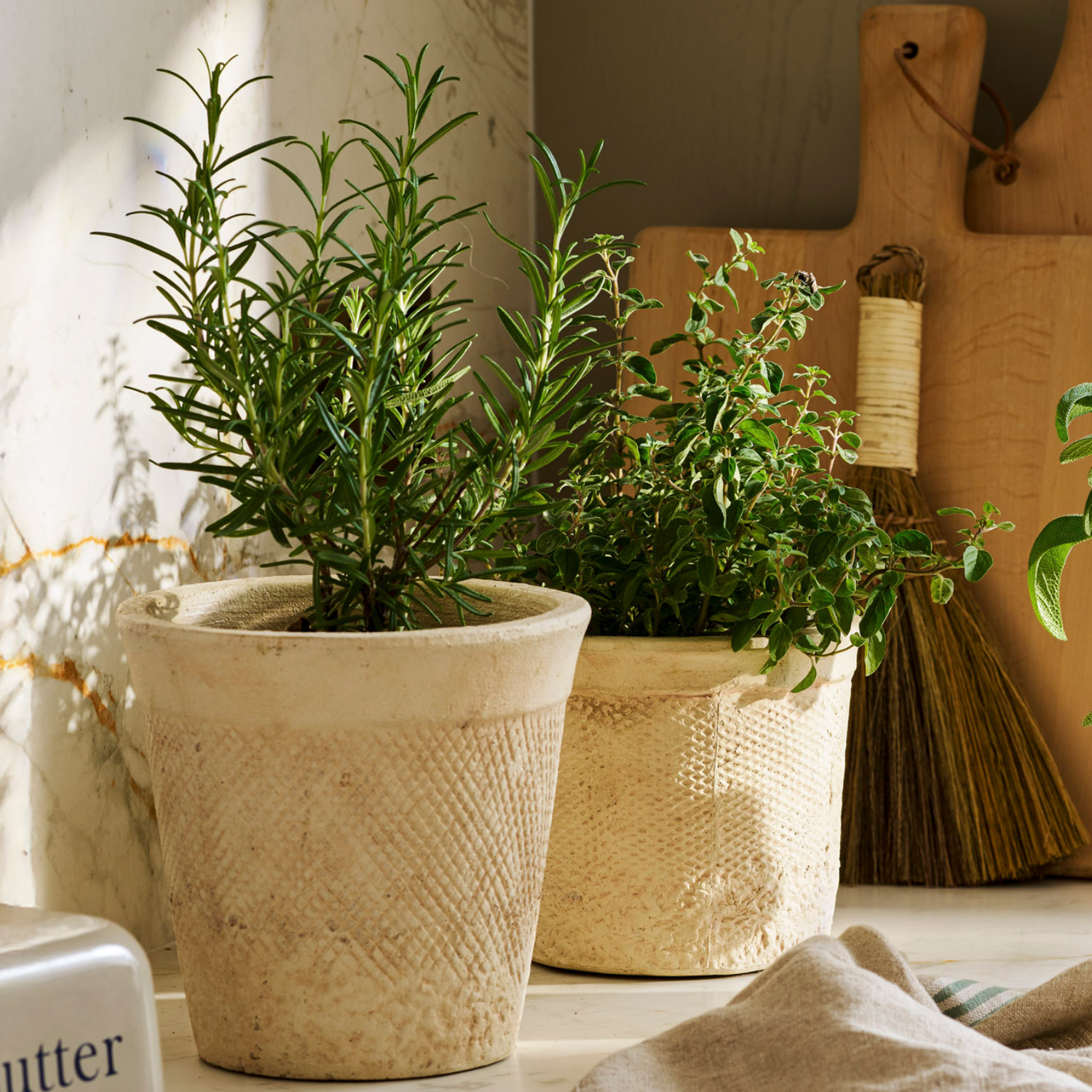 Planters