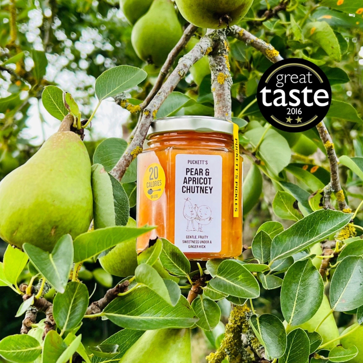 Puckett's Pear & Apricot Chutney