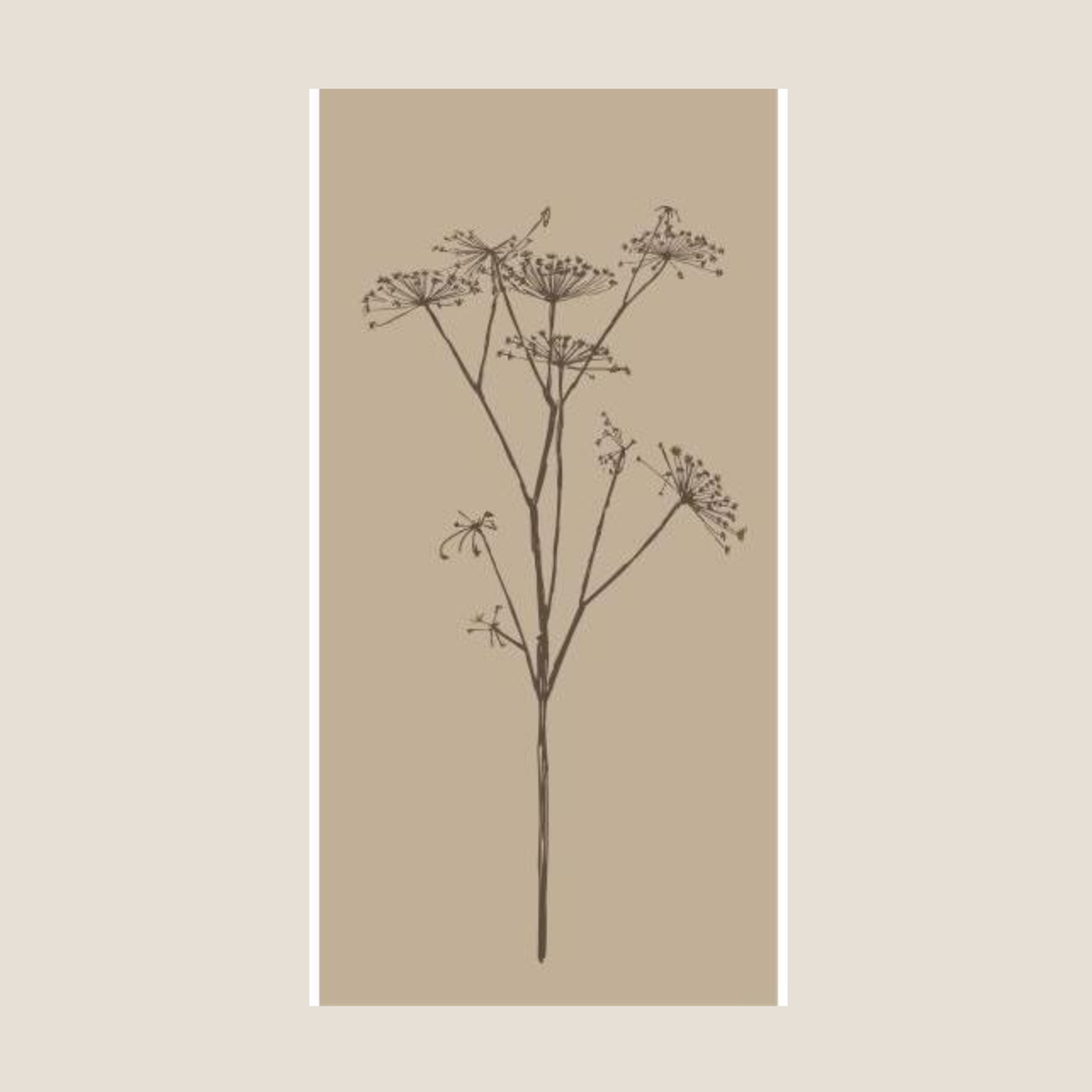 Tone-in-Tone Napkins, 10x20cm 16pk - Brown Umbel Flower