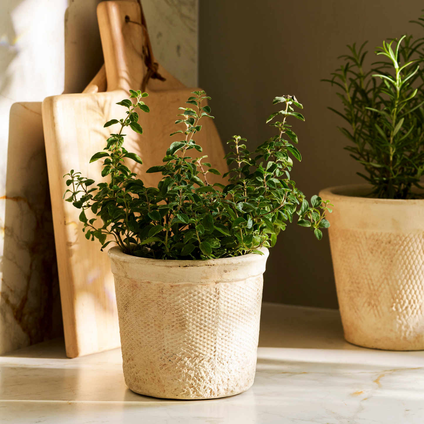 Dursley Textured Natural Stoneware Pot, Medium