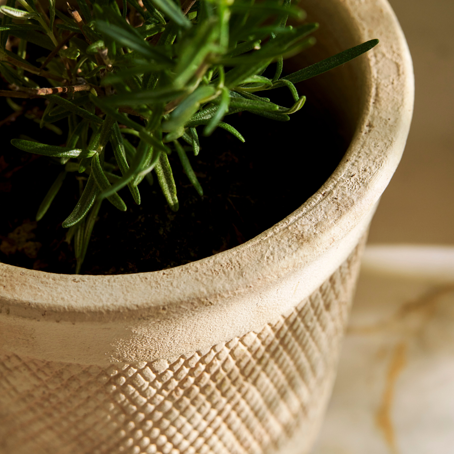 Dursley Textured Natural Stoneware Pot, Large