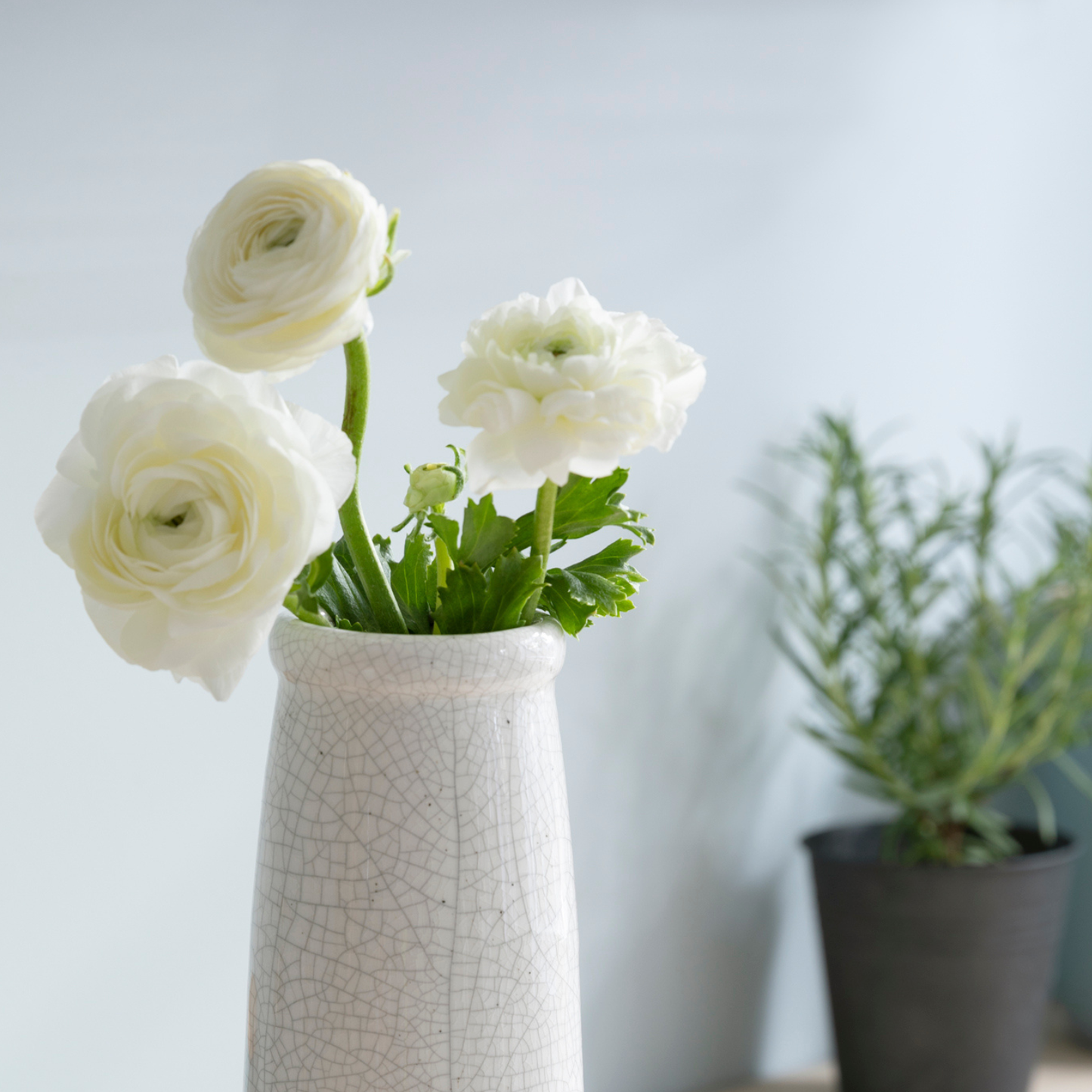 Ravello White Ceramic Bottle Vase