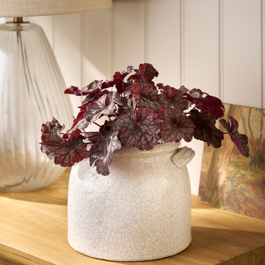 Ravello White Ceramic Pot With Handles 21cm