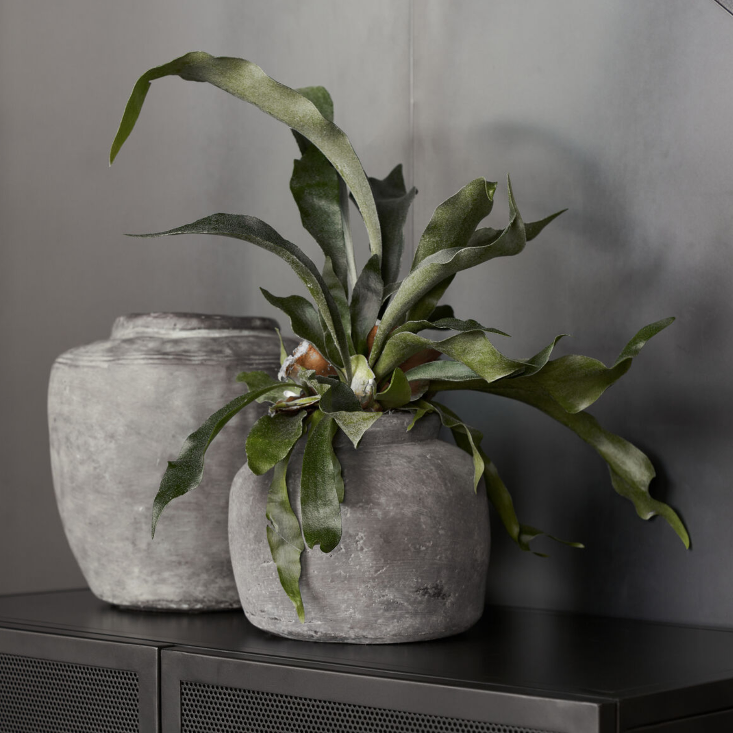 Rustik Concrete Planter