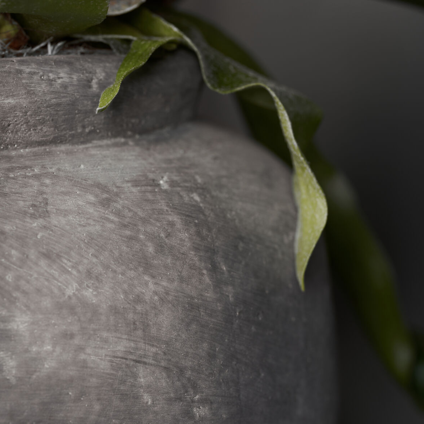 Rustik Concrete Planter